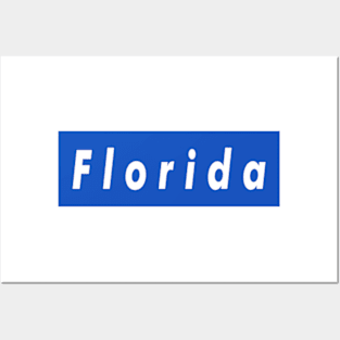 Florida Box Logo Posters and Art